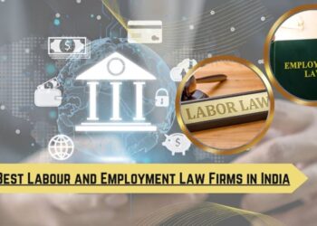 Employment Law Firm: When You Need One and What They Can Do for You