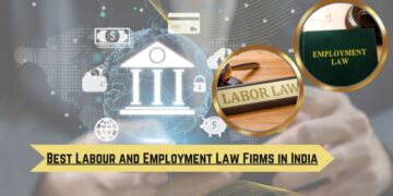 Employment Law Firm: When You Need One and What They Can Do for You