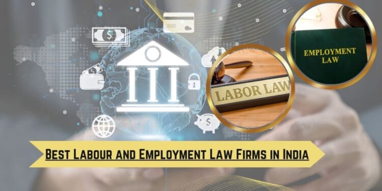 Employment Law Firm: When You Need One and What They Can Do for You